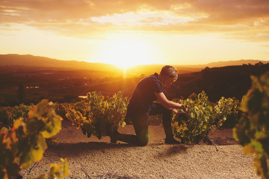 wijnmaakster Corlea Fourie van Bosman Family Vineyards