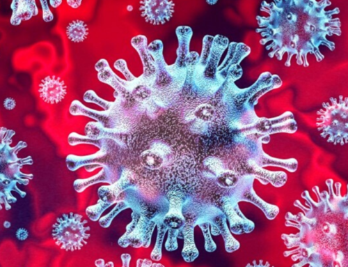 Coronavirus – Noordman Wijnimport