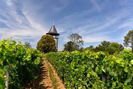 Medoc Chateau de guery