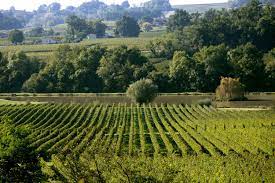 Moulin Noir Vinyards Chateau de guery